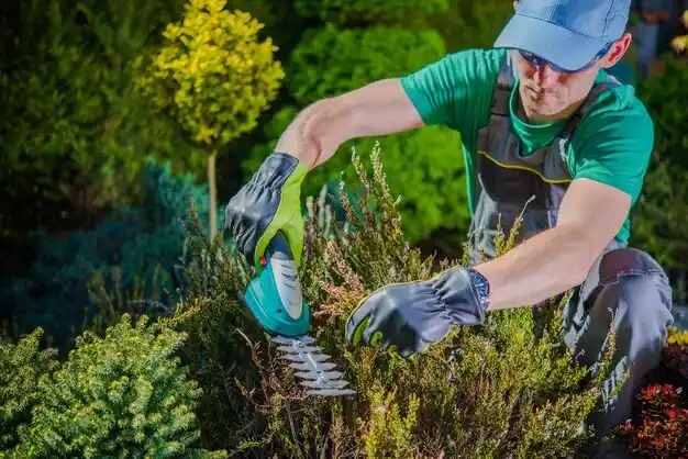 landscaping services Merryville